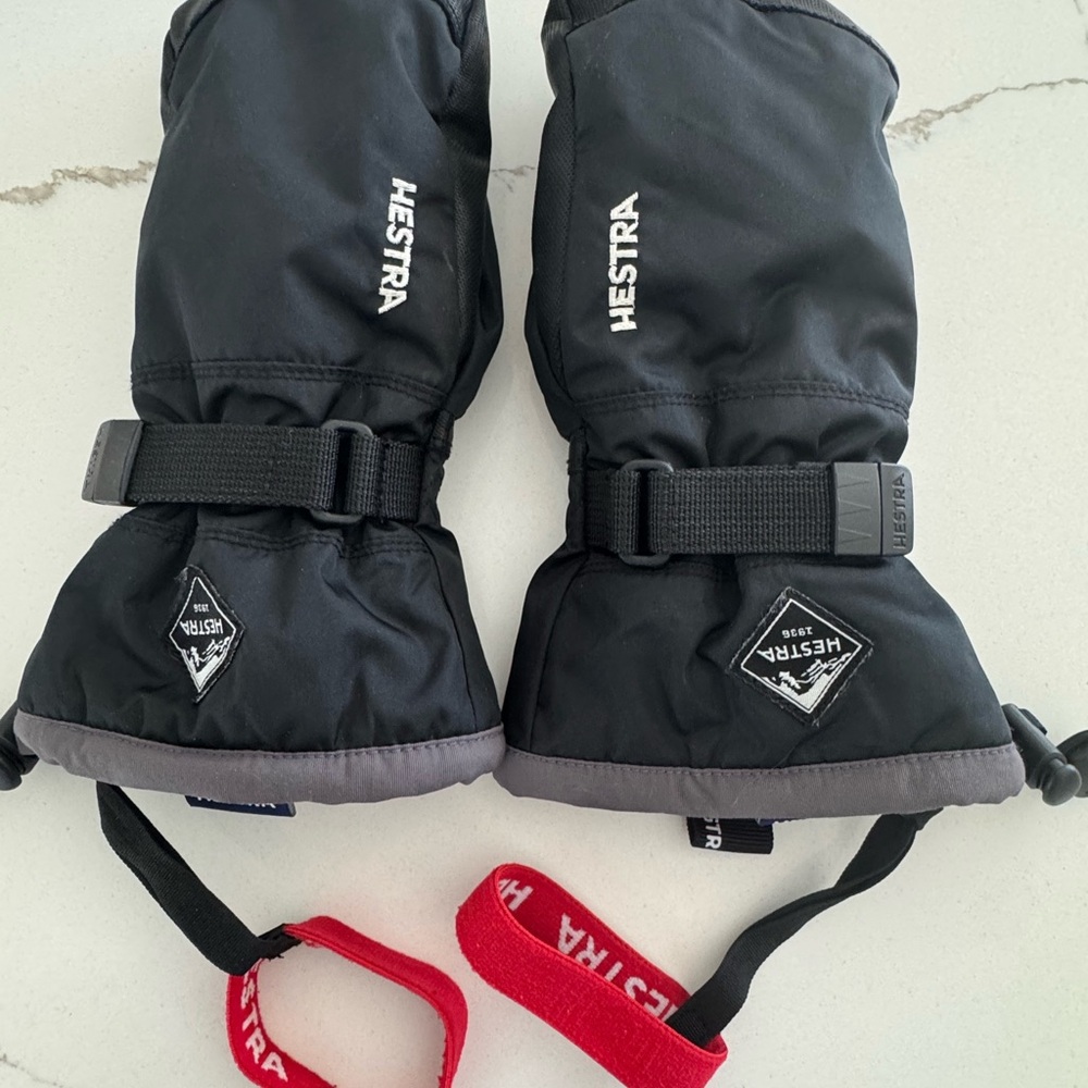 Hestra Black and Gray mittens